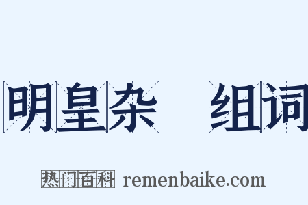 明皇杂録组词是什么意思的图片